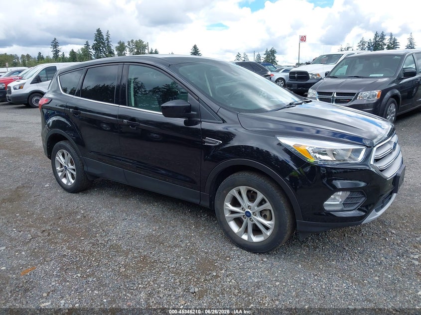 2019 Ford Escape VIN 1FMCU9GD6KUA65814 — IAAI salvage auction photo
