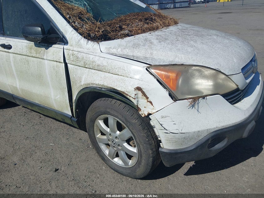 2008 Honda Cr-v VIN JHLRE48548C060814 IAAI salvage auction — NORMAL WEAR, Clear (Arkansas), sold $1,100 on 2026-07-08 (photo 6)