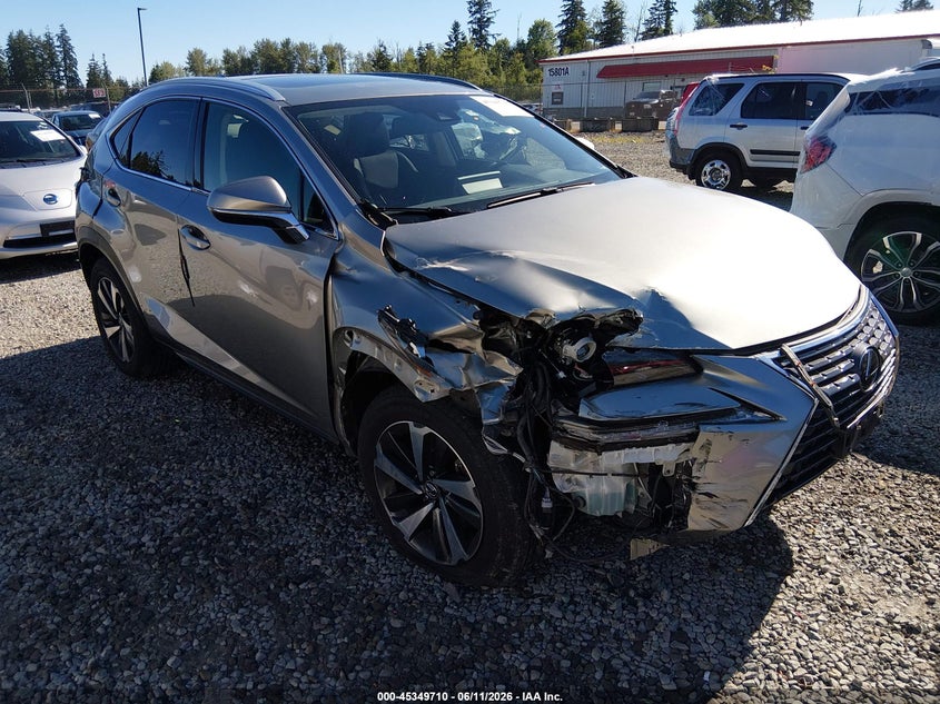 2021 Lexus Nx VIN JTJGARDZ2M2243406 IAAI salvage auction — RIGHT FRONT, Salvage Title, sold $7,000 on 2026-08-01 (photo 1)