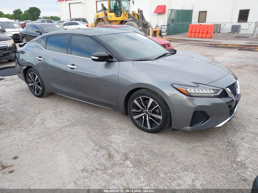 2023 Nissan Maxima VIN 1N4AA6CV0PC502744 — IAAI salvage auction photo