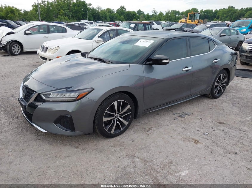 2023 Nissan Maxima VIN 1N4AA6CV0PC502744 IAAI salvage auction — REAR END, Salvage (Kentucky), sold $7,000 on 2026-08-17 (photo 2)