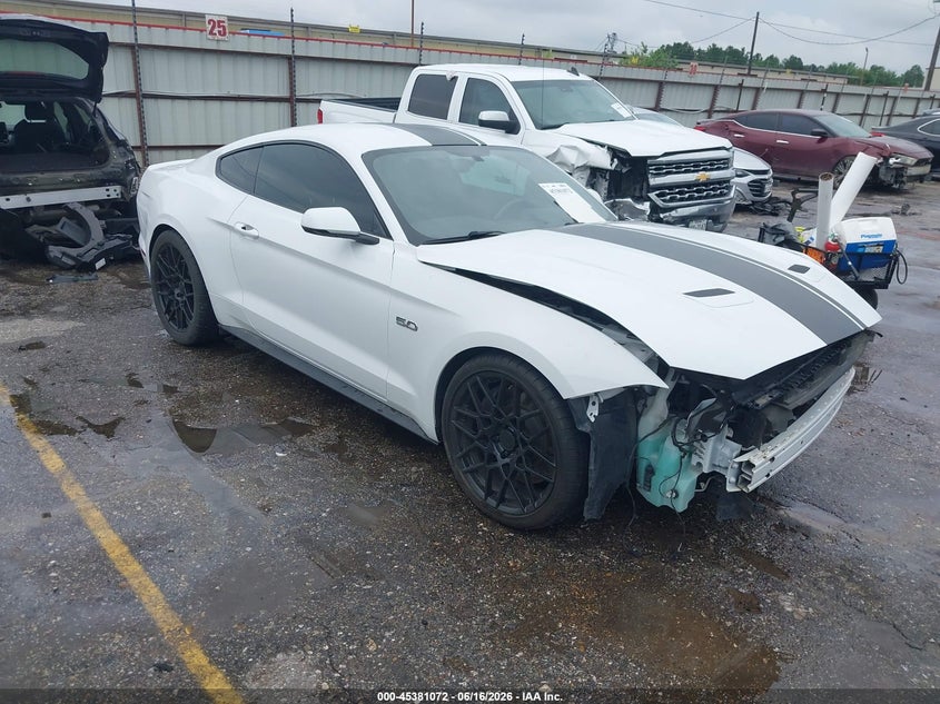 2019 Ford Mustang VIN 1FA6P8CF0K5152117 — IAAI salvage auction photo