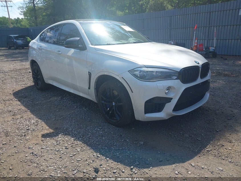2016 BMW X6 m VIN 5YMKW8C53G0R43093 IAAI salvage auction — LEFT & RIGHT, Salvage (New Jersey), sold $1,600 on 2026-07-29 (photo 1)