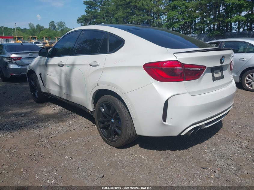2016 BMW X6 m VIN 5YMKW8C53G0R43093 IAAI salvage auction — LEFT & RIGHT, Salvage (New Jersey), sold $1,600 on 2026-07-29 (photo 3)