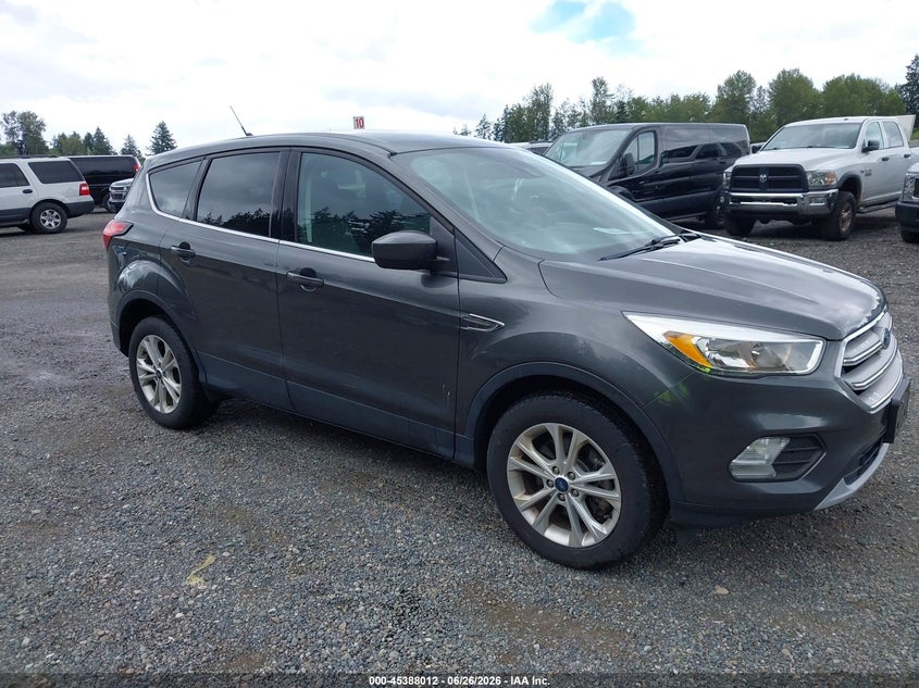 2019 Ford Escape VIN 1FMCU9GD8KUA65815 — IAAI salvage auction photo