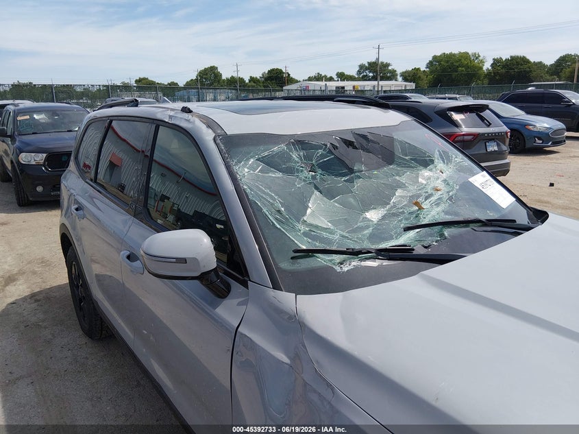 2024 Kia Telluride VIN 5XYP5DGC3RG505660 IAAI salvage auction — STORM DAMAGE, Salvage (Kansas), sold $7,000 on 2026-07-24 (photo 6)
