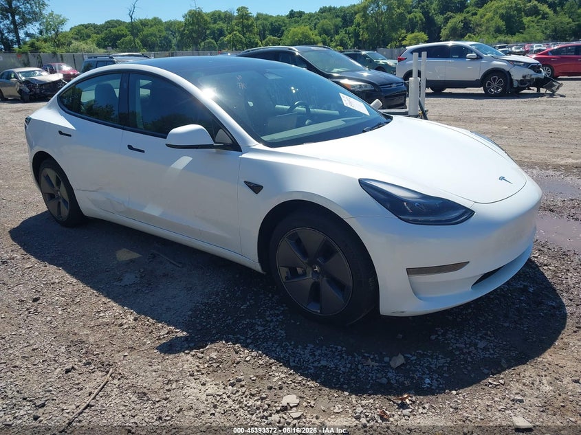 2023 Tesla Model 3 VIN 5YJ3E1EA6PF591114 — IAAI salvage auction photo