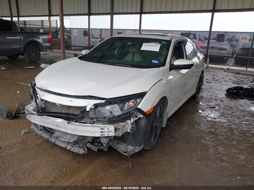 2020 Honda Civic VIN SHHFK7H80LU210092 IAAI salvage auction — FRONT END, Salvage (Texas), sold $3,150 on 2026-07-11 (photo 2)