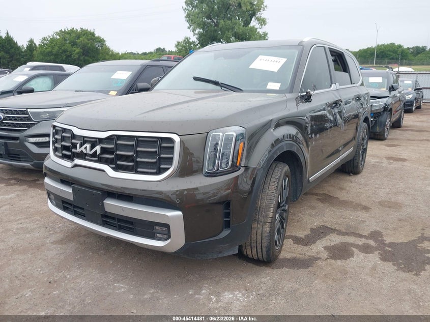 2024 Kia Telluride VIN 5XYP54GC6RG446152 IAAI salvage auction — ROLLOVER, Salvage Title, sold $7,625 on 2026-08-27 (photo 2)