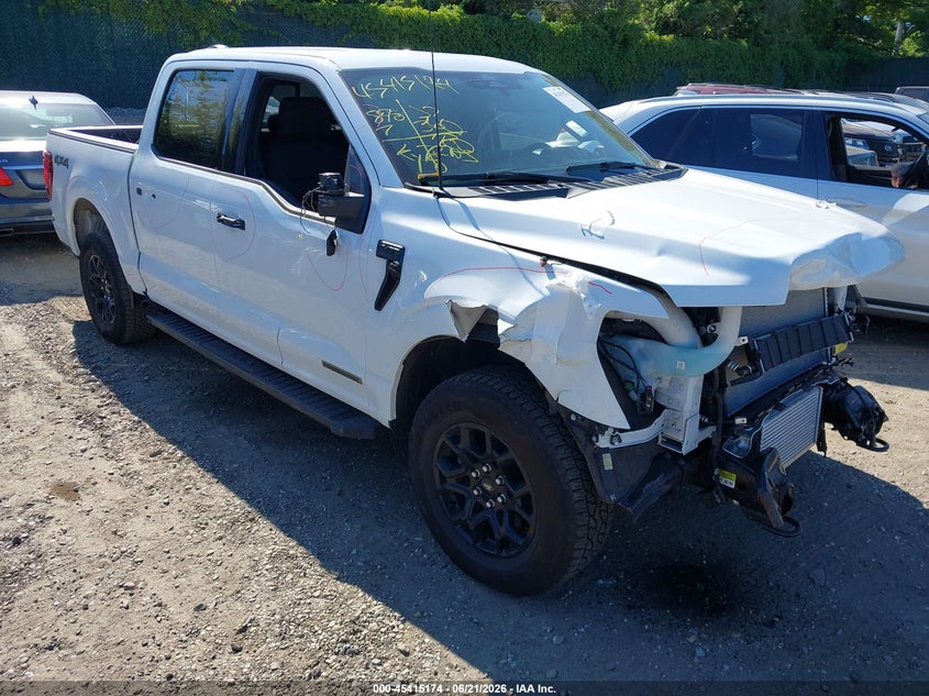 2025 Ford F-150 VIN 1FTFW3LD6SFB43494 — IAAI salvage auction photo