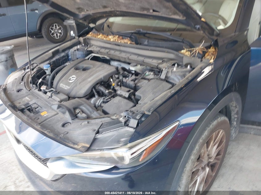 2019 Mazda Cx-5 VIN JM3KFADM2K0623737 IAAI salvage auction — NORMAL WEAR, Clear (Florida), sold $5,775 on 2026-07-15 (photo 6)