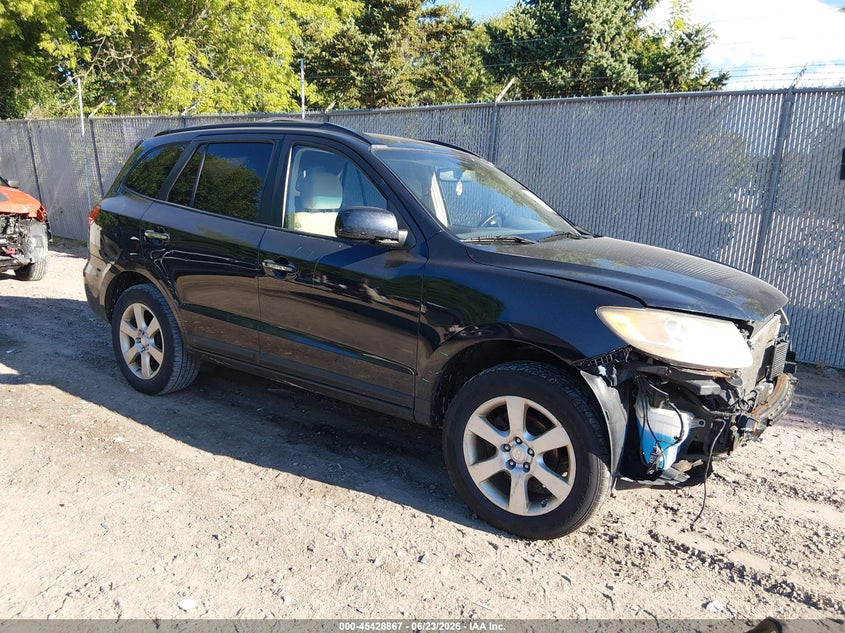 2009 Hyundai Santa fe VIN 5NMSH13E29H279043 — IAAI salvage auction photo