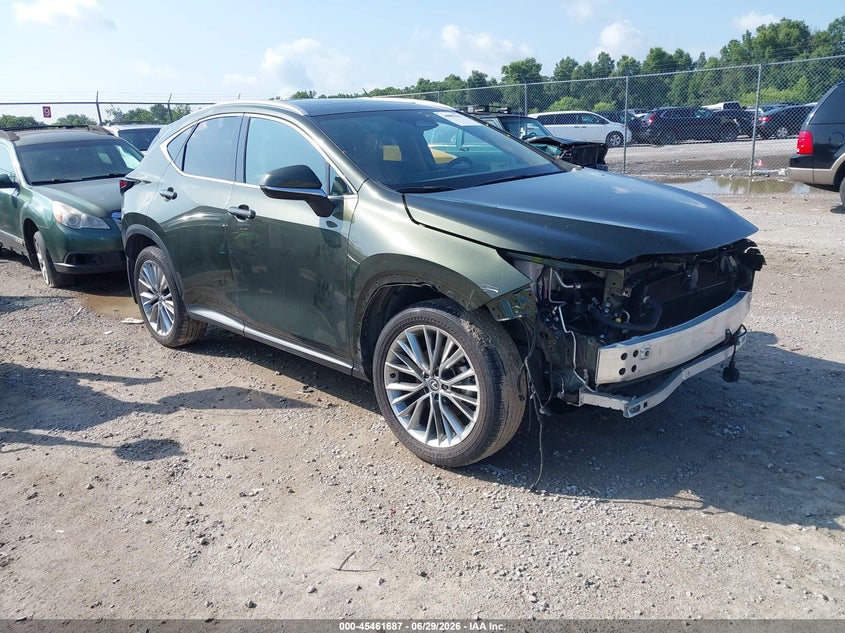 2025 Lexus NX 350h VIN 2T2GKCEZ9SC048263 — IAAI salvage auction photo
