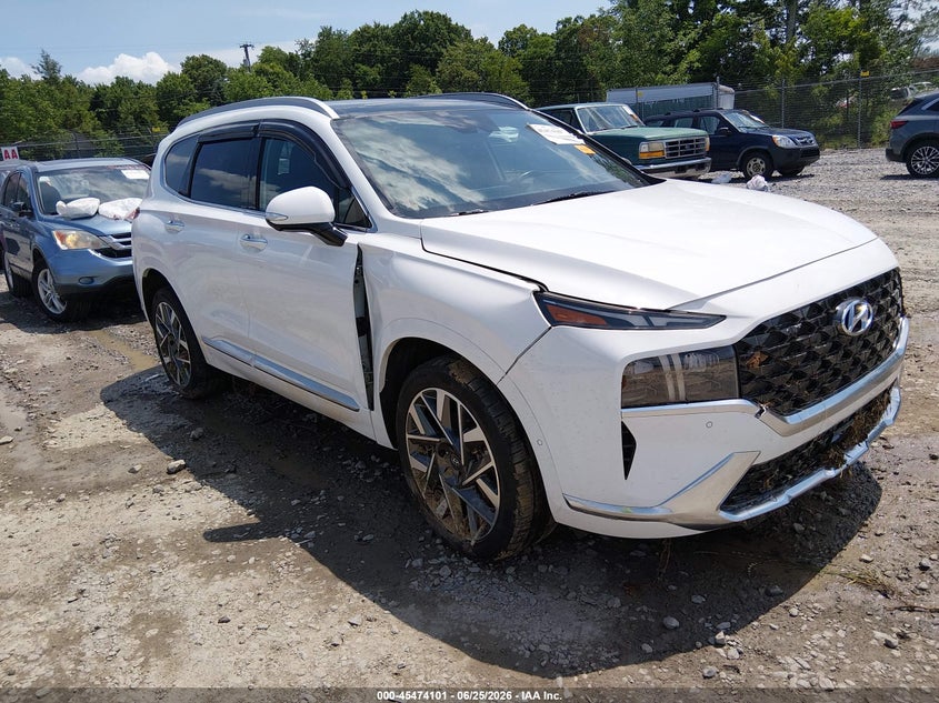2023 Hyundai Santa fe VIN 5NMS5DAL9PH510948 — IAAI salvage auction photo