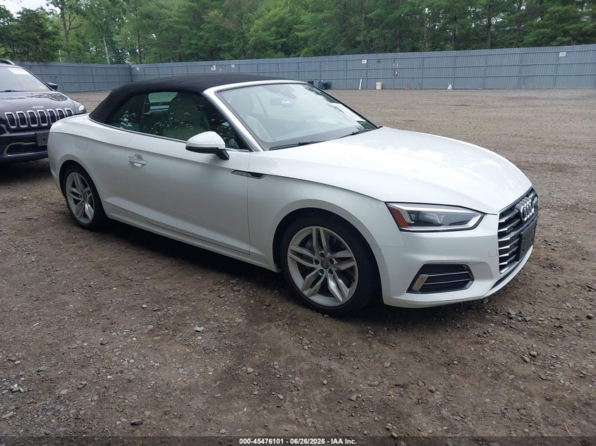 2019 Audi A5 VIN WAUWNGF55KN009528 — IAAI salvage auction photo