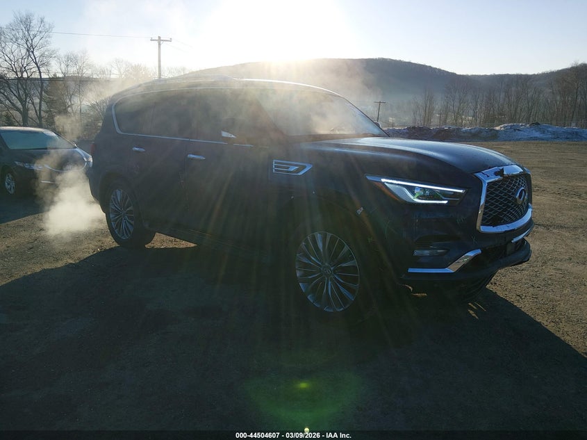2019 Infiniti Qx80 VIN JN8AZ2NE6K9225777 — IAAI salvage auction photo