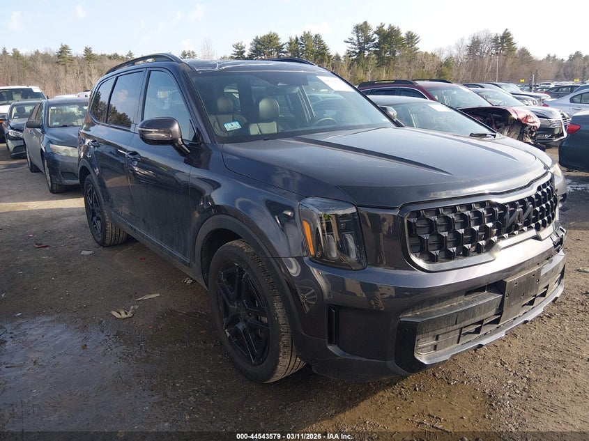 2025 Kia Telluride VIN 5XYP5DGC4SG630320 — IAAI salvage auction photo
