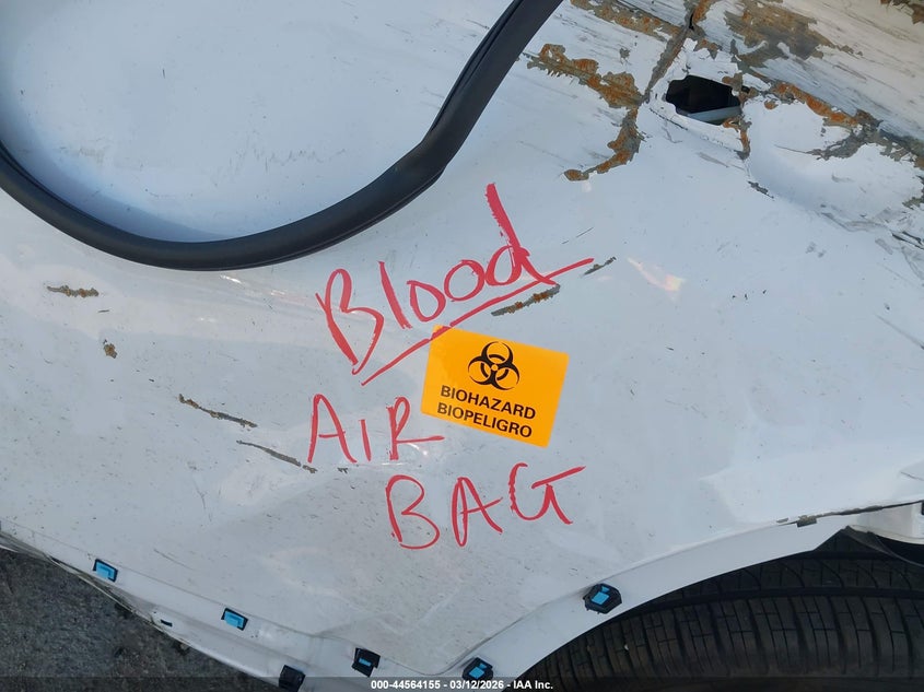 2025 Kia Telluride VIN 5XYP34GCXSG711232 IAAI salvage auction — BIO HAZARD, Salvage Title, sold $2,650 on 2026-07-07 (photo 6)