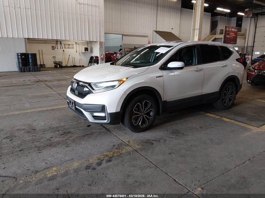 2020 Honda VIN 7FART6H55LE016075 IAAI salvage auction — REAR END, Salvage (Oregon), sold $9,100 on 2026-07-09 (photo 2)