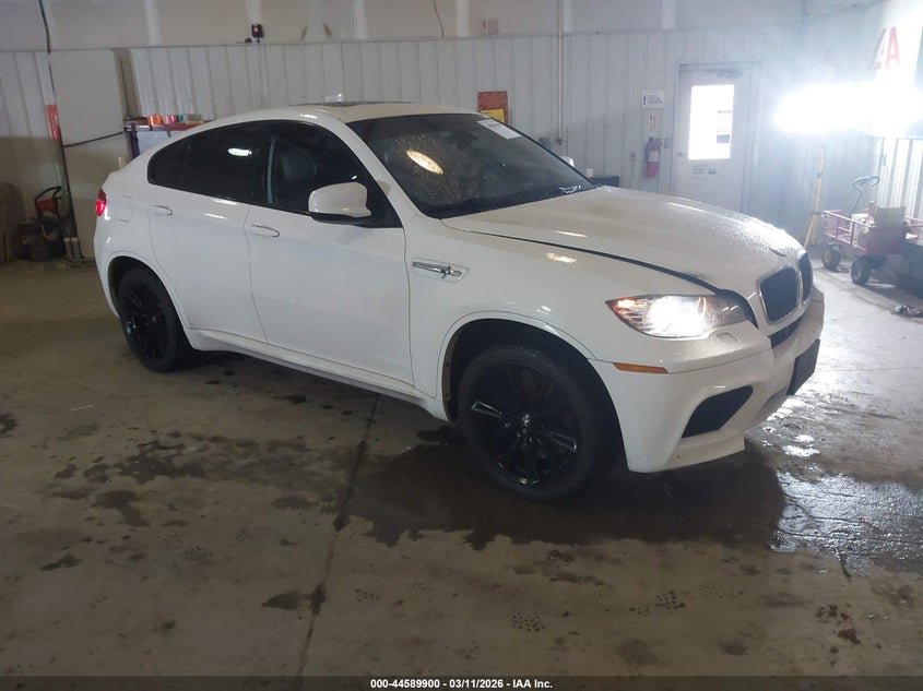 2010 BMW X6 VIN 5YMGZ0C56ALK13263 IAAI salvage auction — ENGINE BURN, Salvage (Illinois), sold $725 on 2026-07-08 (photo 1)