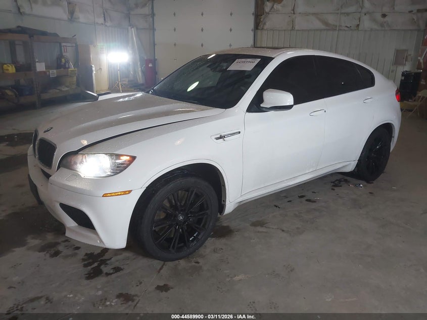 2010 BMW X6 VIN 5YMGZ0C56ALK13263 IAAI salvage auction — ENGINE BURN, Salvage (Illinois), sold $725 on 2026-07-08 (photo 2)