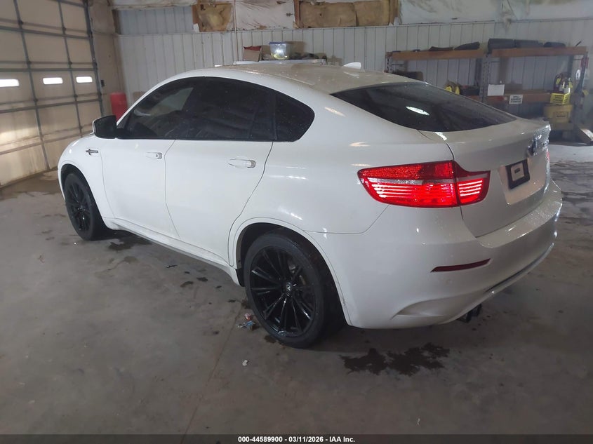 2010 BMW X6 VIN 5YMGZ0C56ALK13263 IAAI salvage auction — ENGINE BURN, Salvage (Illinois), sold $725 on 2026-07-08 (photo 3)