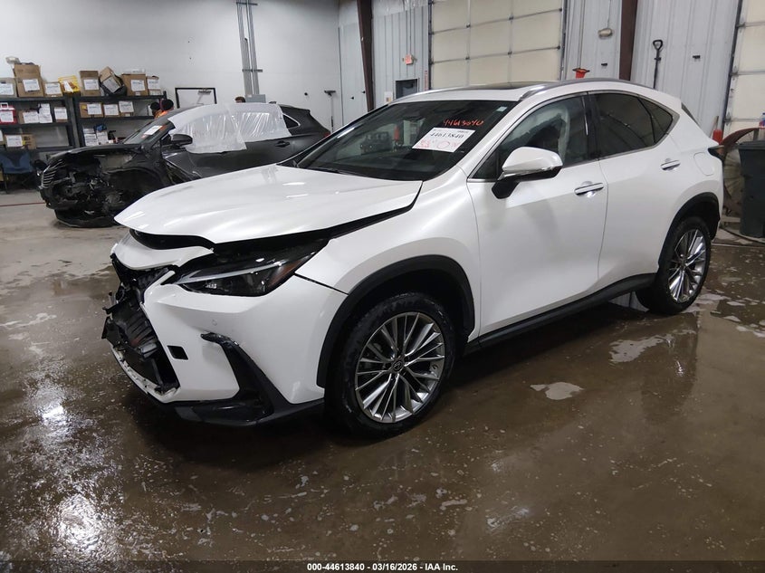 2022 Lexus Nx VIN JTJGGCEZ1N5003936 IAAI salvage auction — FRONT END, Salvage Title, sold $15,925 on 2026-08-28 (photo 2)