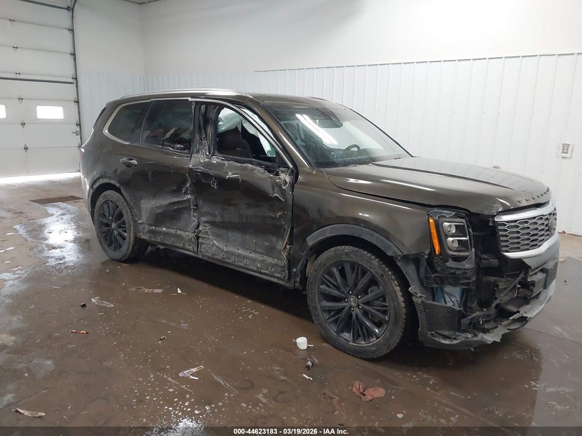 2021 Kia Telluride VIN 5XYP5DHC3MG123605 IAAI salvage auction — RIGHT SIDE, Regular (South Dakota), sold $6,200 on 2026-07-21 (photo 1)