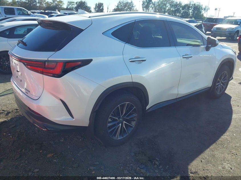2025 Lexus Nx VIN 2T2AKCEZ3SC031903 IAAI salvage auction — FRONT END, Salvage (California), sold $23,500 on 2026-07-09 (photo 4)