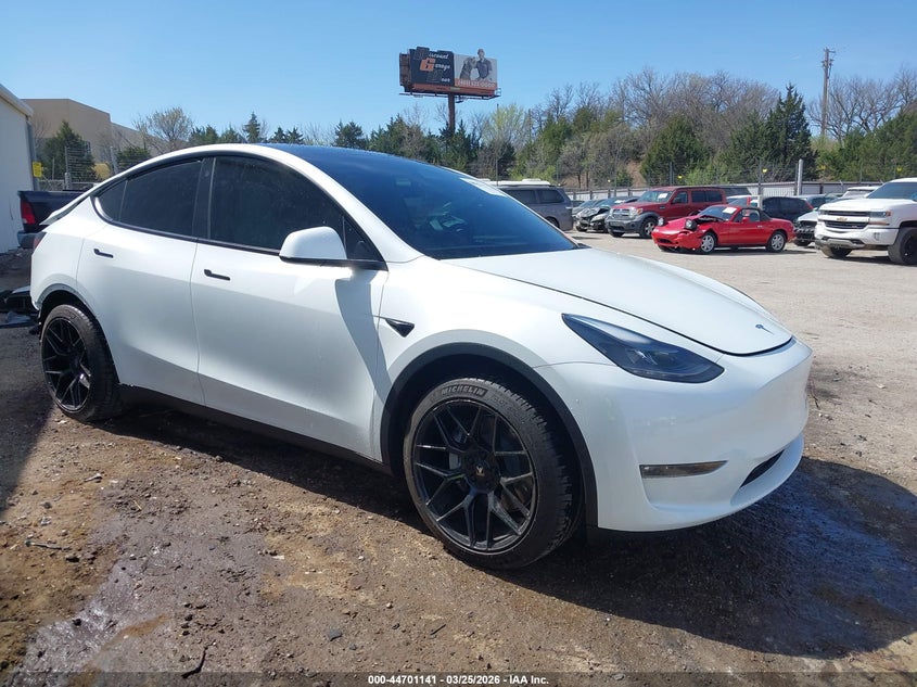 2023 Tesla Model y VIN 7SAYGDEE3PF706419 — IAAI salvage auction photo