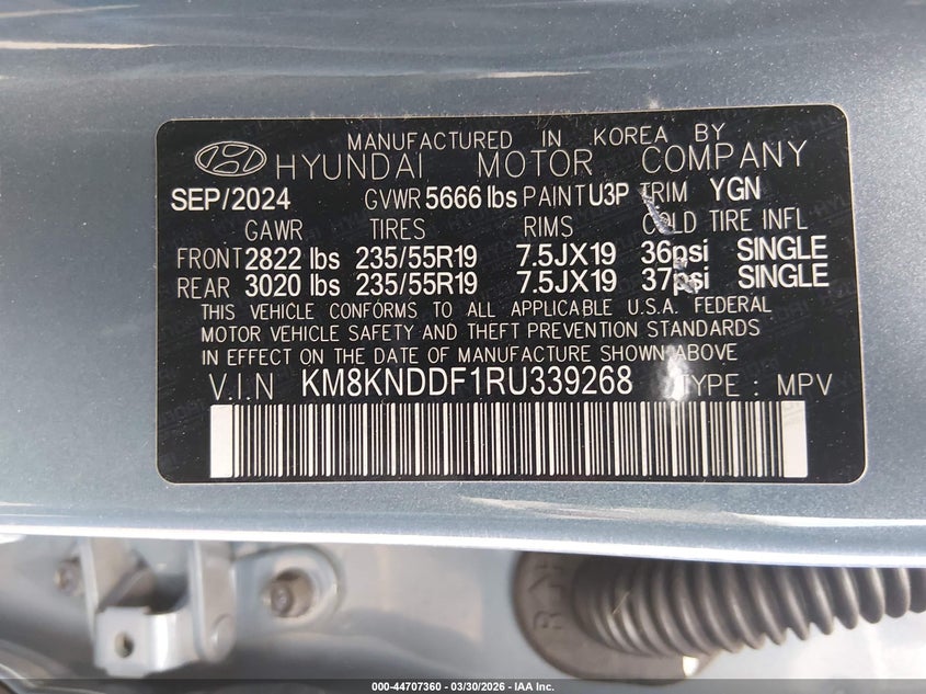 2024 Hyundai Ioniq 5 VIN KM8KNDDF1RU339268 IAAI salvage auction — RIGHT SIDE, Salvage (Colorado), sold $10,200 on 2026-07-30 (photo 9)