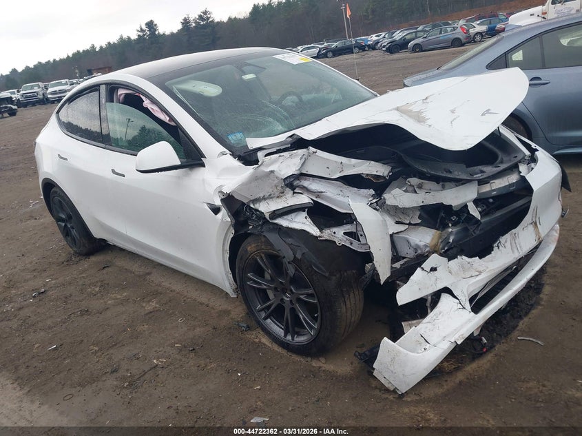 2024 Tesla Model y VIN 7SAYGDEE2RF152521 IAAI salvage auction — ALL OVER, Salvage (Massachusetts), sold $6,650 on 2026-07-09 (photo 1)