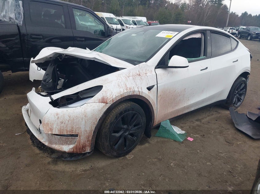 2024 Tesla Model y VIN 7SAYGDEE2RF152521 IAAI salvage auction — ALL OVER, Salvage (Massachusetts), sold $6,650 on 2026-07-09 (photo 2)