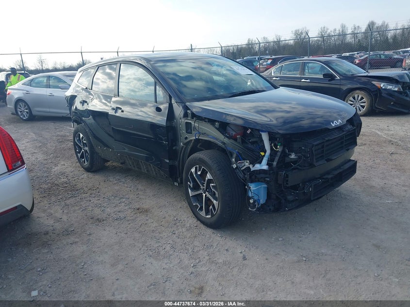 2024 Kia Sportage VIN 5XYK33DF7RG219142 — IAAI salvage auction photo