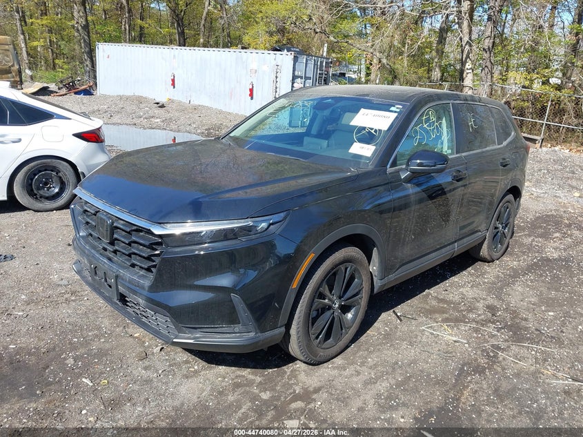 2023 Honda Cr-v VIN 7FARS4H73PE011973 IAAI salvage auction — THEFT, Salvage Title, sold $12,600 on 2026-07-24 (photo 2)