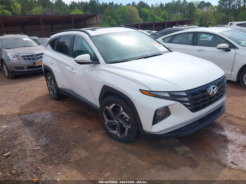 2024 Hyundai Tucson VIN 5NMJF3DE4RH414177 IAAI salvage auction — SIDE, Wait Title, sold $6,200 on 2026-07-25 (photo 1)