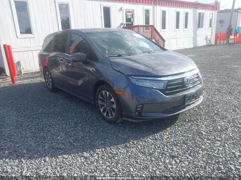 2024 Honda Odyssey VIN 5FNRL6H63PB079279 — IAAI salvage auction photo