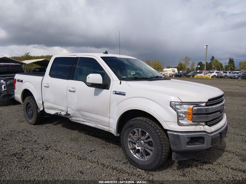 2020 Ford F-150 VIN 1FTEW1E52LKE40843 — IAAI salvage auction photo