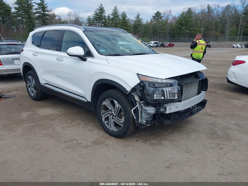 2023 Hyundai Santa fe VIN 5NMS3DAJXPH590099 — IAAI salvage auction photo