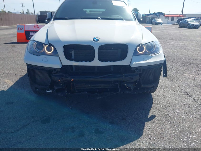 2010 BMW X6 VIN 5UXFG8C50ALZ94885 IAAI salvage auction — LEFT FRONT, Salvage (California), sold $3,725 on 2026-07-20 (photo 6)