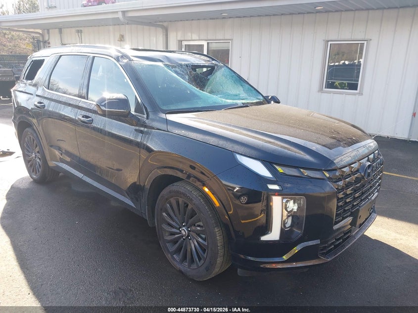 2025 Hyundai Palisade VIN KM8R7DGE8SU919182 IAAI salvage auction — UNKNOWN, Wait Title, sold $350 on 2026-07-30 (photo 1)