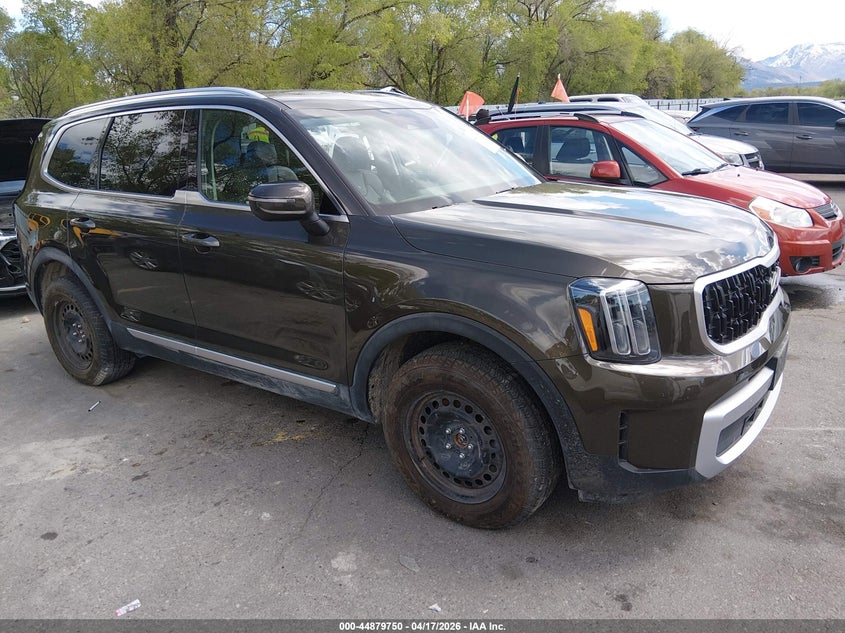 2025 Kia Telluride VIN 5XYP3DGC0SG637464 — IAAI salvage auction photo