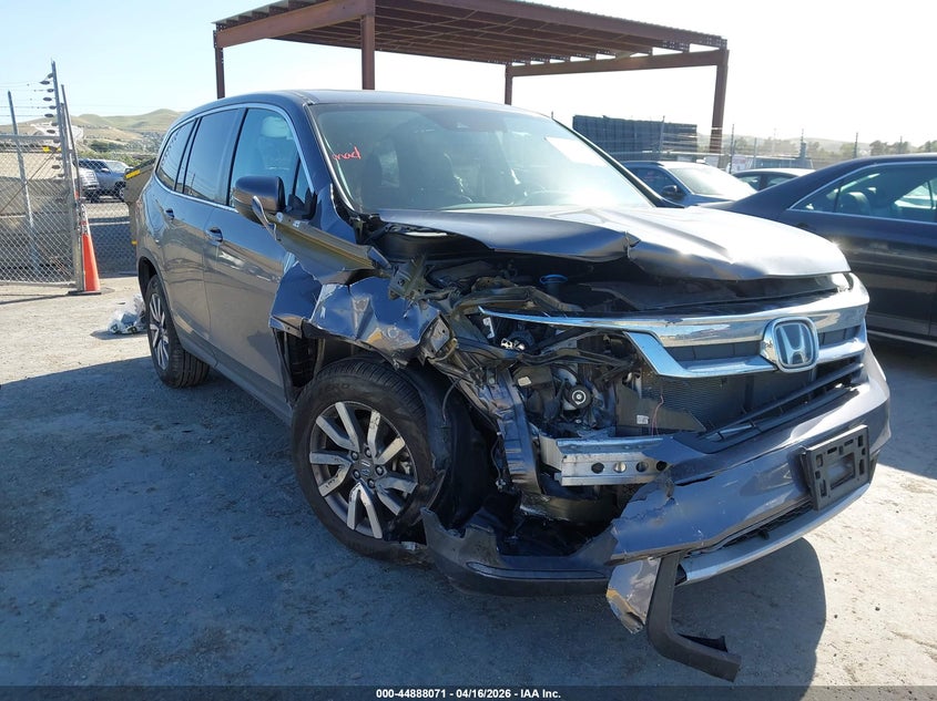 2020 Honda Pilot VIN 5FNYF5H52LB017211 IAAI salvage auction — RIGHT FRONT, Wait Title, sold $5,000 on 2026-07-09 (photo 1)