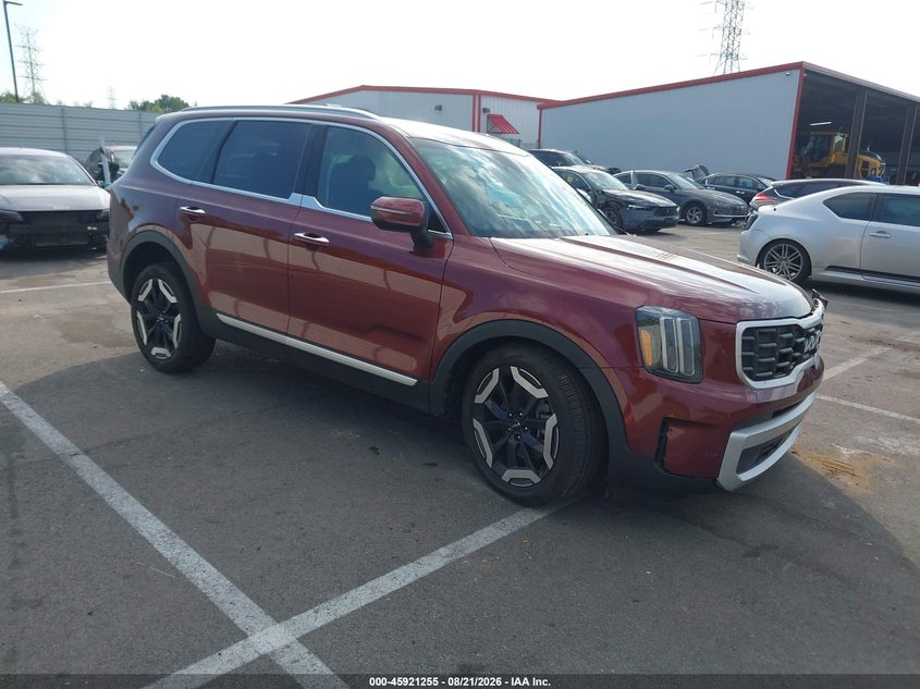 2024 Kia Telluride VIN 5XYP6DGC7RG505240 — IAAI salvage auction photo