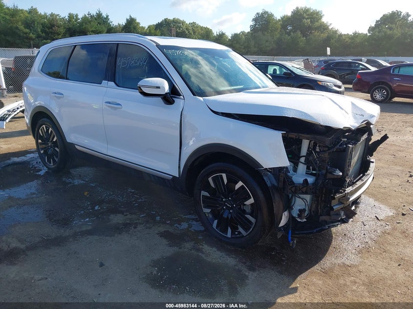 2023 Kia Telluride VIN 5XYP5DGC0PG403651 — IAAI salvage auction photo