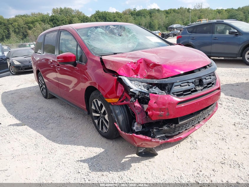 2026 Honda Odyssey VIN 5FNRL6H69TB007576 — IAAI salvage auction photo