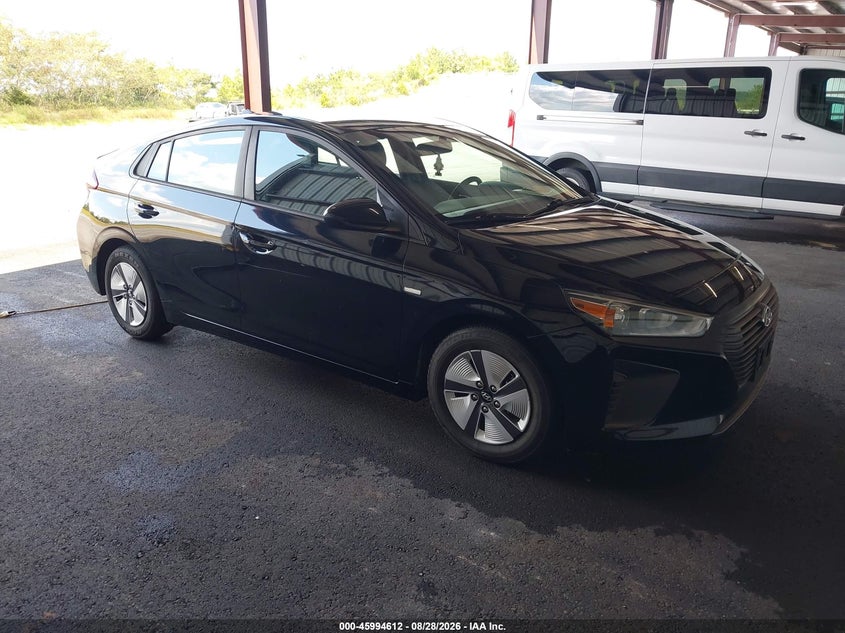 2019 Hyundai Ioniq hybrid VIN KMHC65LC6KU155738 — IAAI salvage auction photo