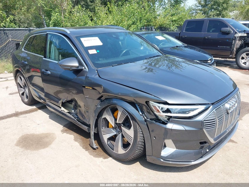 2019 Audi E-tron VIN WA1VAAGE3KB006208 — IAAI salvage auction photo