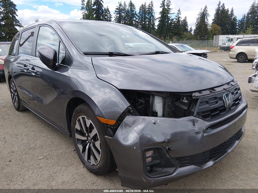 2025 Honda Odyssey VIN 5FNRL6H62SB073983 — IAAI salvage auction photo