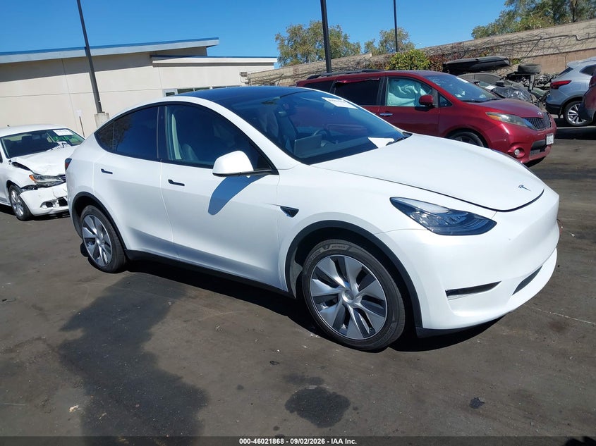 2023 Tesla Model y VIN 7SAYGDEE0PA062763 — IAAI salvage auction photo